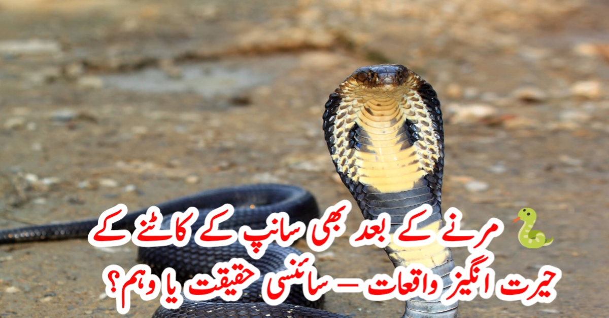 مرنے کے بعد بھی سانپ کے کاٹنے کے حیرت انگیز واقعات – سائنسی حقیقت یا وہم؟